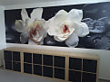Referencia - tapeta s kvetmi v interiéri