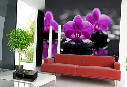 Fototapeta Purple orchid and Zen stones 24284