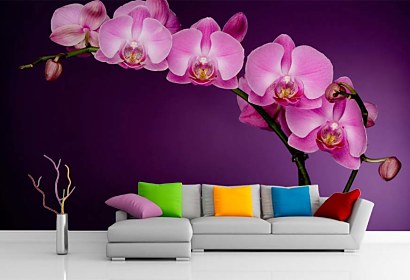 tapety do obývačky - fialová orchidea