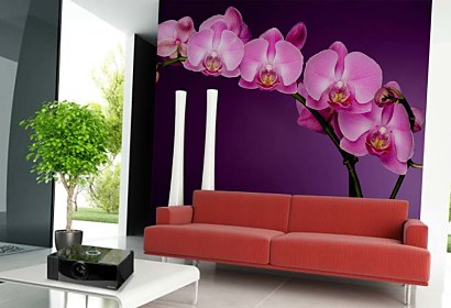 tapety na stenu - fialová orchidea