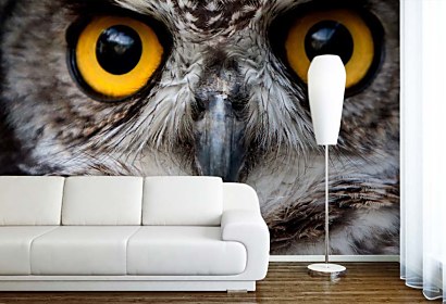owl - fototapety