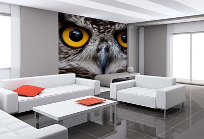 tapeta na stenu - owl
