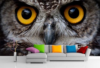 vinylová fototapeta - owl
