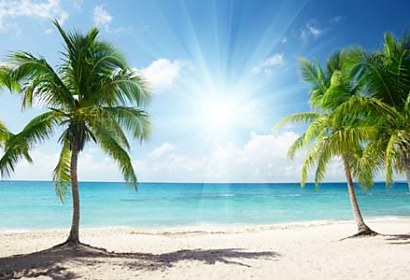samolepiace tapety - palm beach