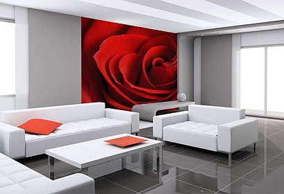 tapeta s ružou na stenu