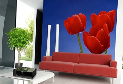 fotoapeta s červenými tulipánmi