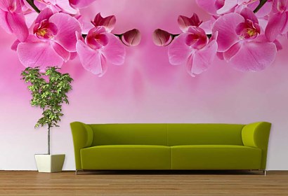 Fototapeta na stenu Ružová Orchidea