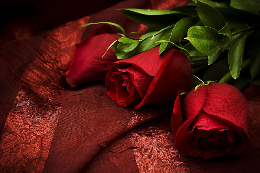 Fototapeta Zátišie s ružami 92