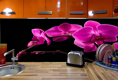 Fototapeta na kuchynskú linku - Fialová orchidea 18499