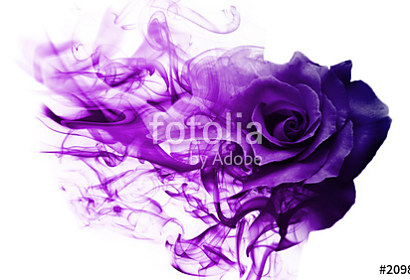 Fototapeta Smoke rose Violet ft-209892810