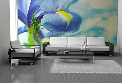 fototapety do obývačky - modrá orchidea