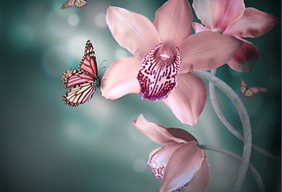 Fototapeta zástena - Kvety s motýľmi 4677