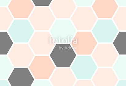Pastelová Fototapeta Hexagon 110781220