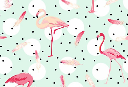 Tapeta Exotic Flamingo ft-111778176