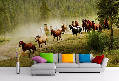 Tapeta Wild horses 29183