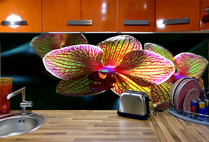 Fototapeta do kuchyne - Orchidea 3132