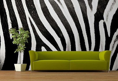 Fototapeta Zebra texture Black White 123